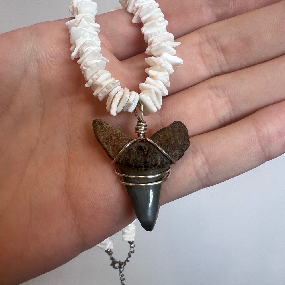 Vintage fossilized Mako shark tooth pendant on shell necklace.
